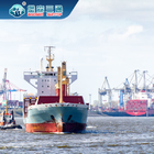 Dari Cina Ke AMERIKA SERIKAT Eropa International Shipping Forwarder Sea Air Rail Freight