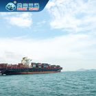 China Ke Australia Pengiriman Laut Freight Forwarder Amazon Dropship Ke Eropa